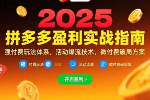 拼多多盈利实战指南，强付费玩法，活动爆流技术，微付费破局方案(更新7月