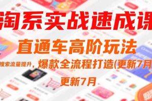 淘系实战速成课，直通车高阶玩法，搜索流量提升，爆款全流程打造(更新7月