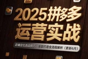 2025拼多多运营实战：店铺定位选品技巧，爆款打造全流程解析(更新6月