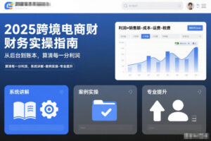2025跨境电商财务实操指南，从后台到账本，算清每一分利润，系统讲解-案例实操-专业提升