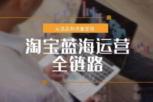 淘宝蓝海运营全链路，从选品到流量变现，小类目突围完整方案