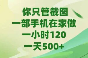 你只管截图，一部手机在家做，一小时120，-天500+