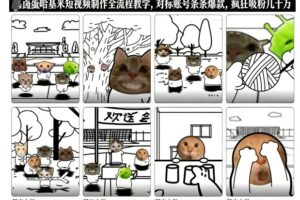 卤蛋哈基米短视频制作全流程教学，条条爆款，疯狂吸粉几十万