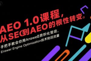 AEO 1.0 课程，从SEO到AE0的基命性转变，手把手教会你用AnswerEngineOptimization技术抢回流量(更新)