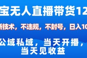 淘宝无人直播12.0，公域私域技术，不封号，不违规布局双十一流量风口，日入1k(独家技术)【揭秘】