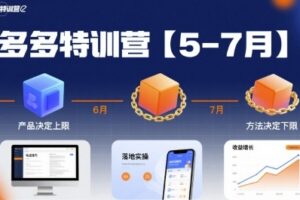 多多特训营，产品决定上限，方法决定下限，各种玩法技巧落地实操(更新)
