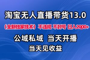 淘宝无人直播13.0，公域私域技术，不封号，不违规布局下半年旺季赛道，日入1K+(独家技术)【揭秘】
