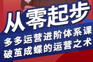 拼多多运营进阶系统课，从零起步，多多运营进阶体系课，破茧成蝶的运营之术(更新9月)