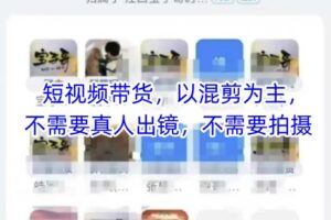 宝子哥头部团队短视频带货，以混剪为主，不需要真人出镜，不需要拍摄【更新9月】