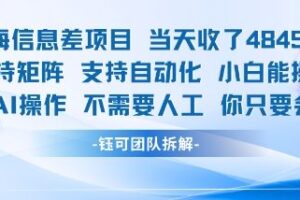 蓝海信息差项目当天收米1k+ 支持矩阵支持自动化小白能操作全程AI操作不需要人工你只要会电脑