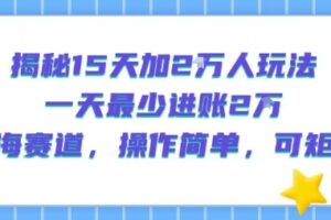 揭秘15天加2W人玩法，一天最少2万进账，蓝海赛道，操作简单，可矩阵