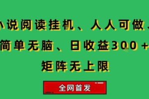 小说挂G阅读，人人可做，简单无脑，一天收益3张+矩阵无限上，全网首发【揭秘】
