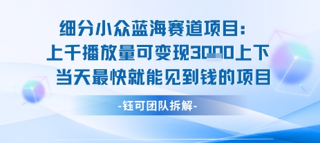 小众蓝海赛道项目：当天变现1k+适合新手操作 +适合长期玩