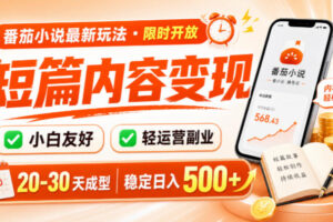 番茄小说最新短篇玩法，稳定日入500+！副业必看，小白可玩，限时开放【揭秘】