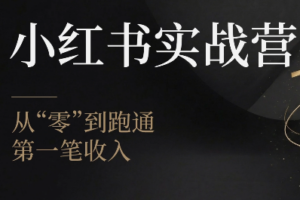 金金老师·小红书实战营