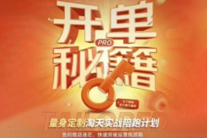 天下网商·淘宝天猫陪跑计划(更新7月)
