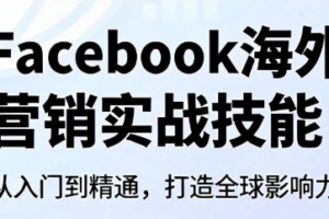 Facebook海外营销实战技能