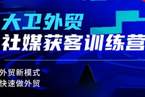 大卫老师·外贸社媒获客独家训练营(更新6月)