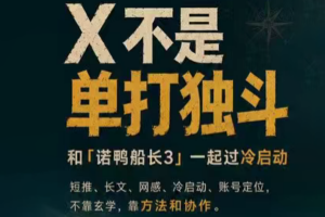 诺鸭船长3·X(Twitter)通关秘籍【飞书】