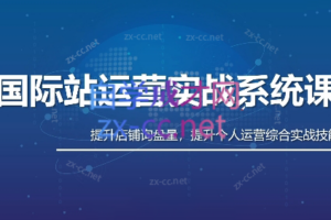 白老师·国际站运营实战系统(高质量询盘增长课)(更新)