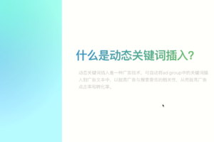 橄榄绿出海·谷歌广告投放课（高级课）