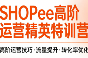 梦凡老师·Shopee虾皮高阶运营课程(更新5月)
