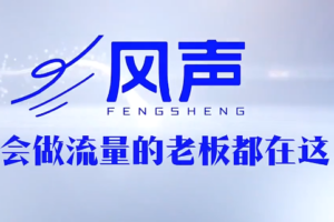 董十一·风声短视频AI获客年度会员