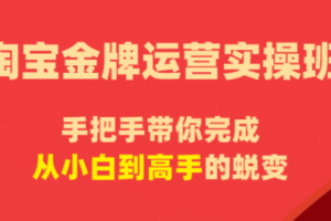 飓风电商·淘宝金牌运营实操班