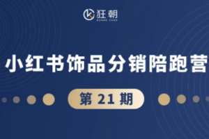 盗坤·抖音小红书视频号短视频带货与直播变现(11-21期)