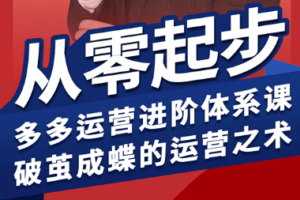 海神·拼多多运营进阶系统课(更新2026)