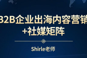 shirle老师·B2B企业出海内容营销+社媒矩阵