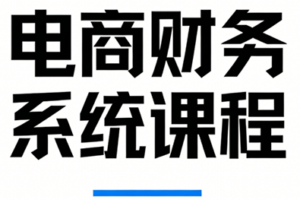 郑老师·电商财务系统课程
