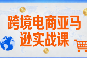 丝丝老师·跨境电商亚马逊实战课(更新2月)