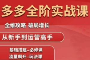 大炮·拼多多全阶实战课程(更新2026)