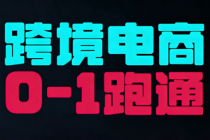 东南亚TikTok小店运营实操
