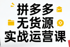 子枫老师·拼多多无货源实战运营课(更新12月)