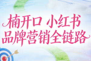 楠开口·小红书品牌营销全链路(更新12月)