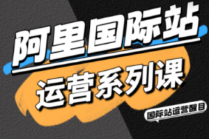 醒目老师·阿里国际站运营系列课(更新11月)