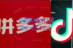 老陶电商·拼多多+抖音小店无货源开店(更新11月)