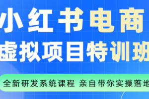 陆明明·小红书虚拟项目特训班(更新9月)