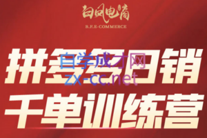 白凤电商·拼多多日销千单训练营(更新9月)