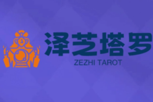 泽芝塔罗牌系统学习课
