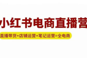 申铭老师·小红书电商直播营(更新)