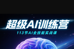 超级AI视频：绘画、带货、职场全场景113节通关课