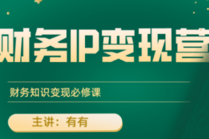 有有老师·财务IP变现营，财务知识变现必修课