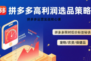 久号老师·拼多多选品暴利技术实战课