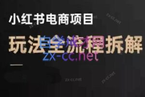 菲菲老师·小红书电商玩法(更新7月)