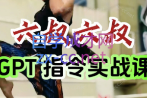 六叔的AI指令实战课(更新7月)