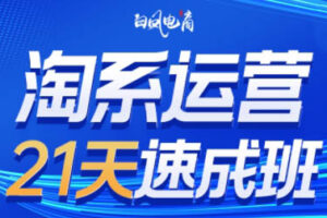 白凤电商·淘系运营21天速成班(更新7月)
