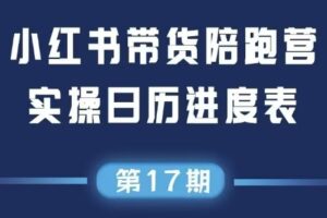 盗坤·抖音小红书视频号短视频带货与直播变现(11-17期)